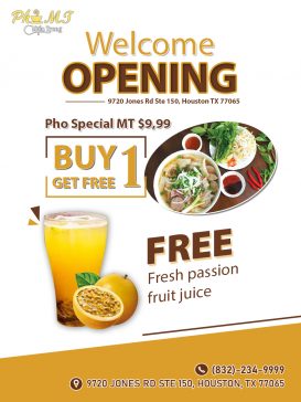 Pho MT - Vietnamese Restaurant Steepleway Shopping Center Houston TX 77065